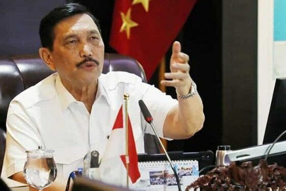 Luhut Minta KPK- Kejaksaan dan Polisi Bentuk Satgas Mafia Pelabuhan ....