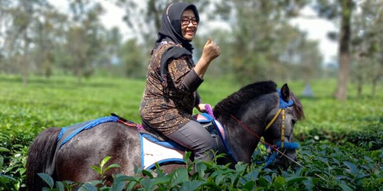 prawita genpari nikmati wisata berkuda di perkebunan teh kabupaten subang......