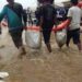 Banjir Rub Terjang Semarang, Sejumlah Masyarakat dan Karyawan Dievakuasi …