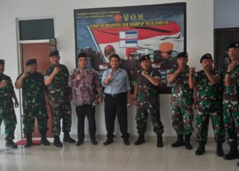 Dede Farhan Aulawi, Perspektif Hukum Disiplin dan Hukum Pidana Militer....