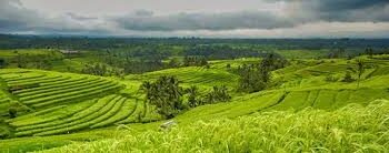 MODEL PENGEMBANGAN WISATA AGRO INDUSTRI DI PEDESAAN ...