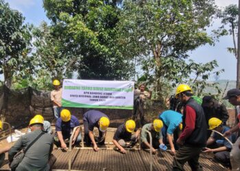 Perhutani Bandung Utara Laksanakan Tabur Benih Pinus