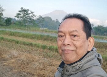 Sudarjono, “Dampak Praktik Politik Dinasti”