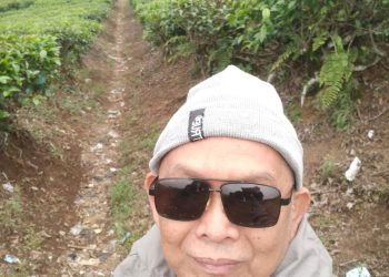 Hutan Sebagi Sumber Kehidupan dan Kekayaan Negara