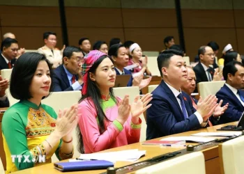 Majelis Nasional Sempurnakan Kerangka Hukum Pertumbuhan Ekonomi Digital