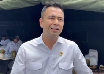 raffi ahmad bea cukai