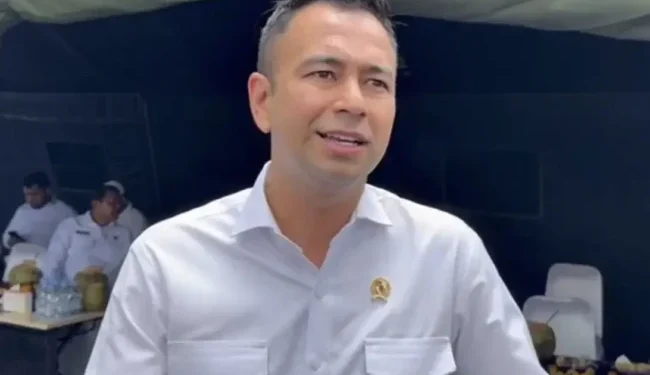 raffi ahmad bea cukai
